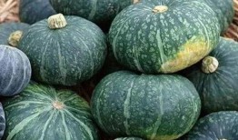 网红黑爆料吃瓜有哪些,吃瓜群众的狂欢与反思